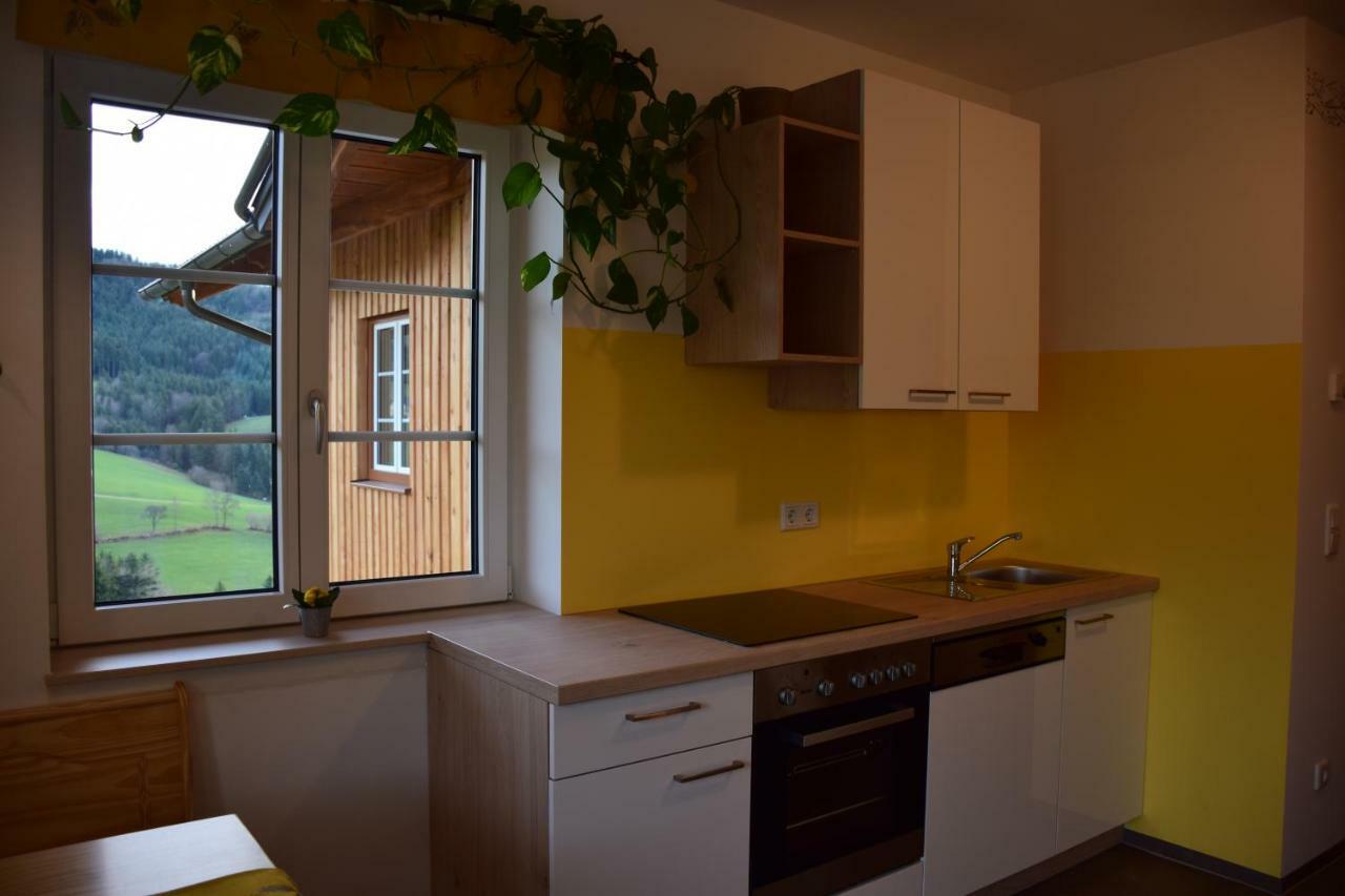 Kornihof Appartement Waidhofen an der Ybbs Buitenkant foto